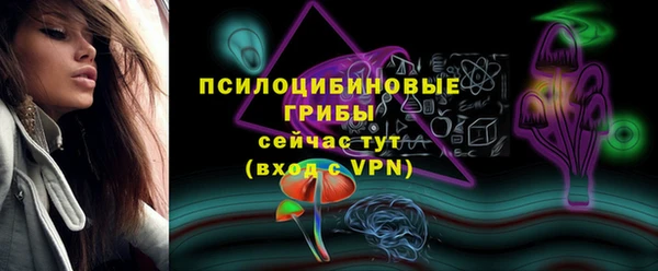 ешки Кукмор